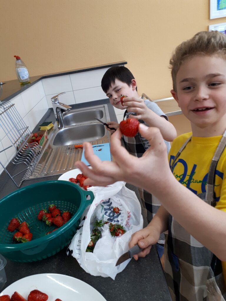 Schüler beim Erdbeeren schneiden