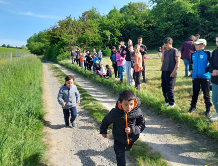 Waldlauf mit den Schülern